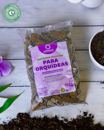 La mejor comparación de Orquideas . 2 La mejor comparación de Orquideas . 2