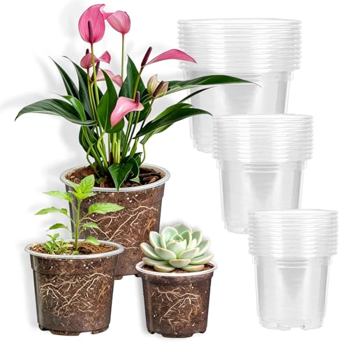 ATB-Foger 15 Stück Pflanztopf Durchsichtig Anzucht Untertopf Orchideentopf Kunststoff-Pflanzentöpfe für Orchideen Sukkulenten Kaktus Setzlinge9/10/13cm