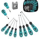 10 Pezzi Set Cacciaviti Magnetico Precisione, Set di Cacciaviti Professionali, Cacciavite a Stella e a Testa Piatta, con Magnetizzatore e Scatola di Immagazzinaggio