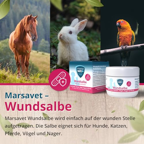marsavet+ 30ml Wundsalbe für Hunde, Katzen, Vögel, Nagetiere, Pferde und mehr. Zink, Propolis, Hyaluron und D-Panthenol - fördert die Heilung und verhindert Hautentzündungen. Premium-Qualität.