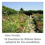  Duettino VII: 1. Andante (Arr. for Two Mandolins)