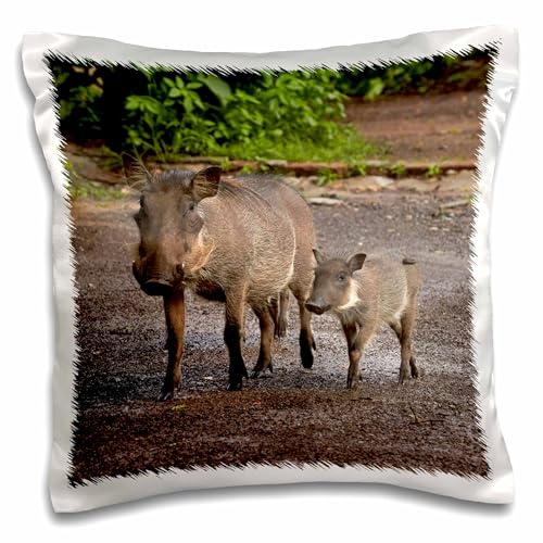 3dRose Warthog and babies, Chobe Safari Lodge, Kasane, Botswana, Africa - Pillow Case, 16 by 16-inch (pc_188044_1)