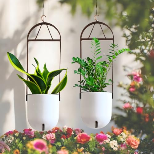Image of Indian Discovery Self Watering Ceiling Hanging Planter|Hanging /Hooked Flower Pots for Home, Balcony, Vertical Garden Decor Flower Pots(1 PC,White, Sphere)|6 Inch UV-Resistant Plastic Plant Pots