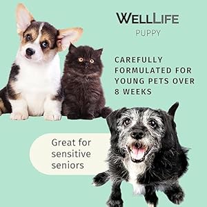 Dog calming mist  relieve dog stress from fireworks travel vet visits separation anxiety  aromatherapy anti anxiety stress reliever  4 oz spray   cucciolini doodles