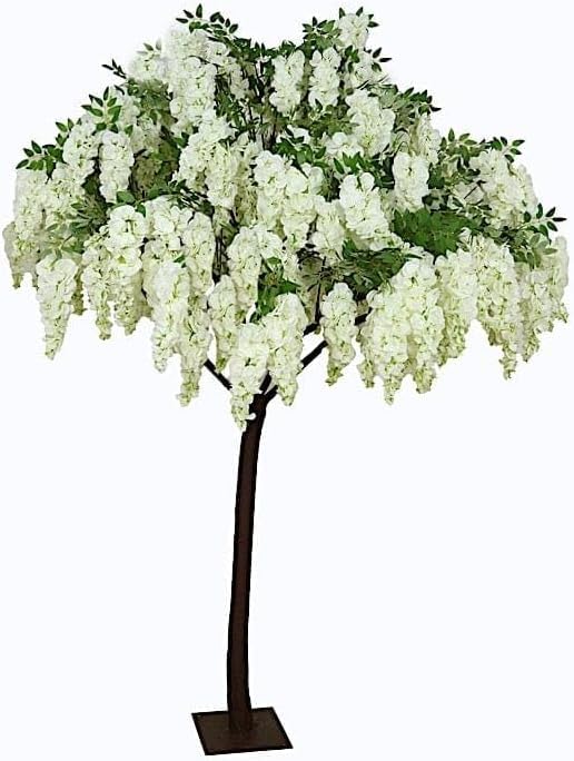 Balsa Circle 7ft White Wisteria