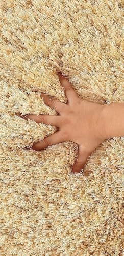Image of Plush Shag Area Rug for Living Room, 244 cm x 305 cm, Brown (Gold, 5X5 FEET)