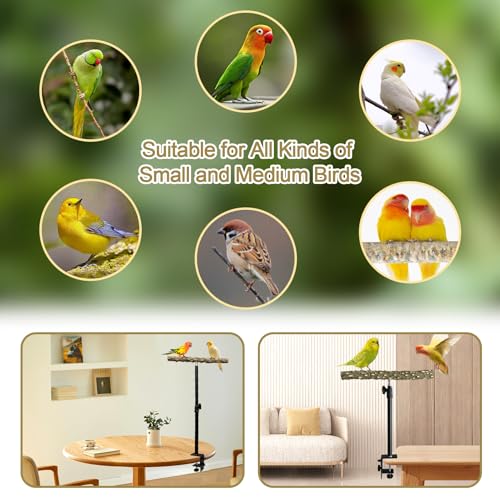 Image of 13-23 Inch Height Adjustable Desktop Bird Perch Pepper Wood Bird Training Perch Stand Parakeet Perches Indoor and Outdoor Parrot Stands for Small to Medium Bird