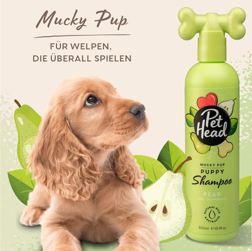 Pet Head Puppy Shampoo, Mucky Puppy Shampoo for Puppies, 90213A, Green, 300 ml (1er Pack)