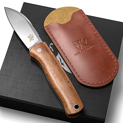 Amazon.de Best Sellers The most popular items in Camping & Hiking