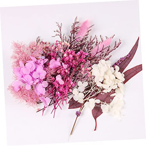 Kit de flores secas para manualidades y decoración miniatura 2
