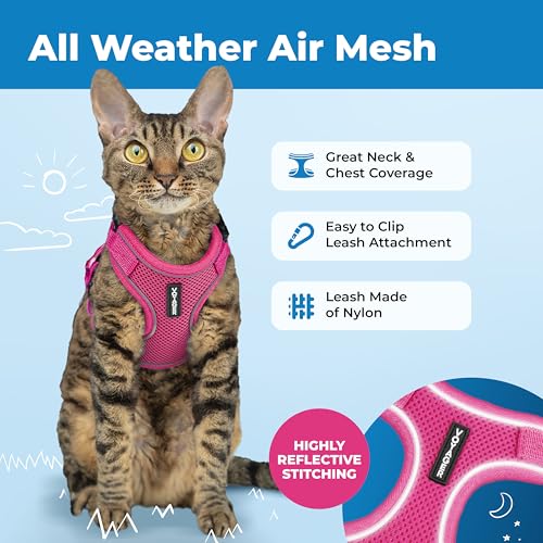 Image of Voyager Escape-Proof Step-in Lock Cat Harness & 5ft Neoprene-Handle Leash Set All-Weather Mesh with Reflective Stitching for Small to Large Cats by Best Pet Supplies, Fuchsia (327), S