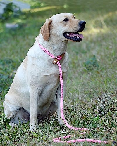 lynxking Schleppleine für Hunde Hundeleine Retrieverleine Führleine Zugleine für kleine mittelgroße große Hunde (Pink, Zugstopp-0.9cm x 180cm)