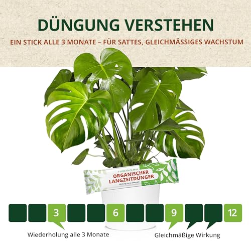 4L Monstera Erde Kit mit Dünger und Mykorrhiza für 12 Monate Pflegeset - Monstera Substrat mit Bodenaktivieren organisch Dünger für Pflanzen, Palmen, Blumen - 9 Komponenten Blumenerde