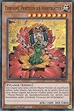 SESL-DE054 - Chirubimé, Prinzessin der Herbstblätter - Super Rare - Yugioh - Deutsch - 1. Auflage im Set mit Ultra Pro Toploader und Ultra Pro Schutzhülle (Klarsicht)