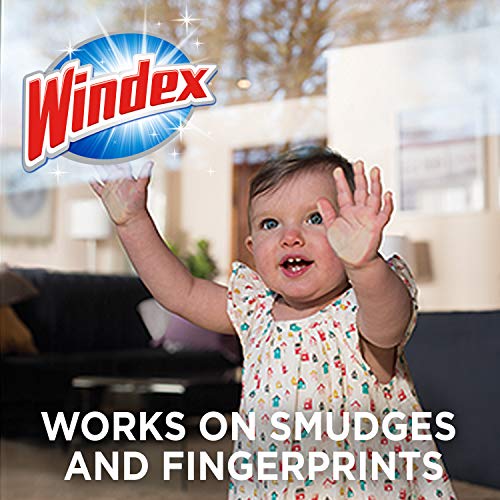 image for Windex Glass and Multi-Surface Cleaning Wipes, 28 Count, 1 Count (Pack