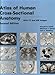 Atlas of Human Cross-Sectional Anatomy