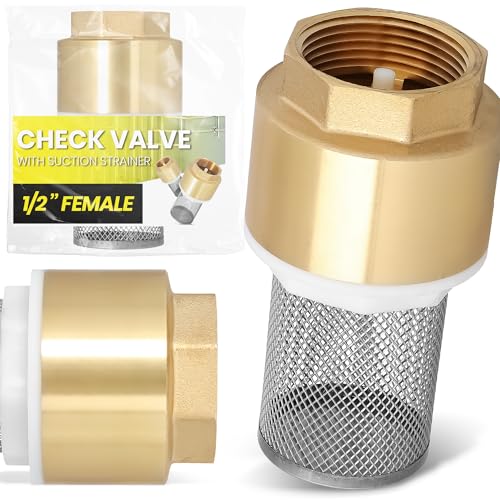Instalguru Válvula De Retención Latón 1/2'' Válvula De Pie Bomba Succión Cesto Inox Filtro Para Bomba Suministro Fontanería Agua Repuestos Instalación