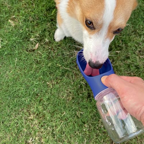 WePet Tragbare Hunde-Wasserflasche, 550 ml, Auslaufsicherer Trinknapf für Hunde – Praktisch für Spaziergänge, Wandern & Reisen – Aus lebensmittelechtem Kunststoff