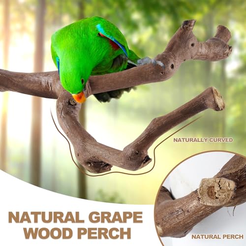 LIMIO 6-Piece Bird Perch Set - Natural Wood Grape Sticks, Paw Grinding Forks, Bird Stand & Toys for Parakeets, Cockatiels, Conure, Budgies - Image 3