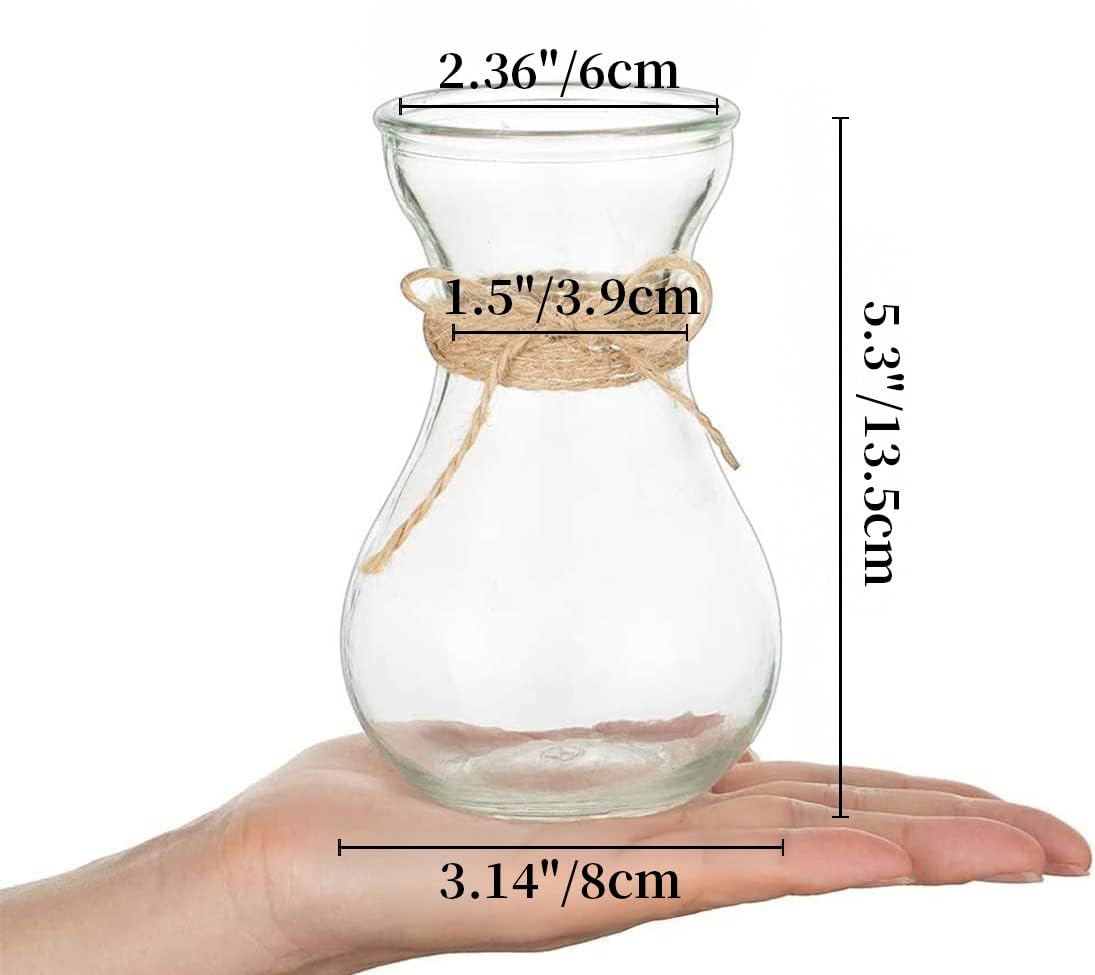 Hewory Lot de 3 petits vases en verre pour centres de table – Mini vase transparent en jacinthe d'avocat en vrac, jolis petits pots de fleurs forçant pour mariage, maison, salon, décoration de table