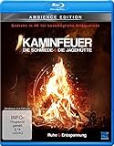  Kaminfeuer (gedreht in 4K für bestmögliche Bildqualität) - Die Schmiede & Die Jagdhütte