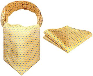HISDERN Cravat for Men Paisley Floral Cravats Handkerchief Jacquard Wedding Ascot Tie & Pocket Square Set