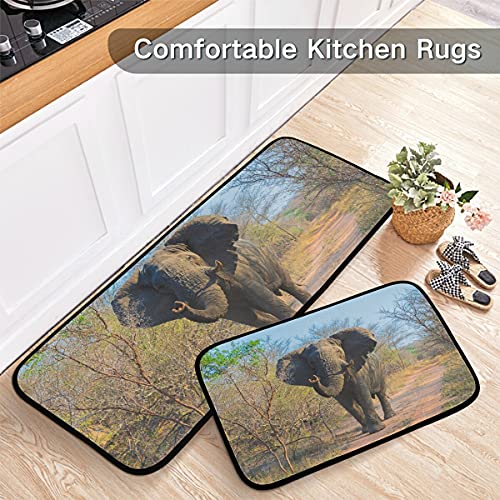 African Elephants Kitchen Rugs And Mats Set 2 Piece Non Slip Washable Runner Rug Set Of 2 For Kitchen Living Room Floor Home Decor #TOP4