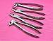 GERMAN 4 DENTAL SURGERY TOOTH EXTRACTING EXTRACTION FORCEPS MD1+MD2+MD3+MD4