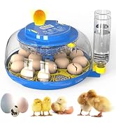 Automatic 12-Egg Incubator with 360° Window and Smart Display for Chick Hatching