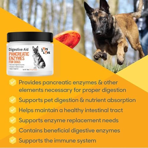 Pancreatic Digestive Enzymes for Dog & Cat (8 Oz Powder) – Thomas Labs Bio Case Earlier – Good Support for EPI – Lots of Love Pet Products Pancreatic Digestive Enzymes for Dog & Cat (8 Oz Powder) – Thomas Labs Bio Case Earlier – Good Support for EPI – Lots of Love Pet Products