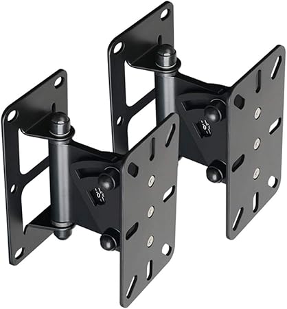 professional speaker mounts