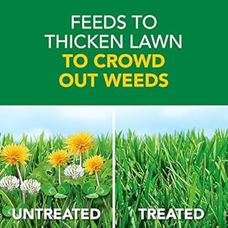 Scotts Turf Builder Weed and Feed3 - Weed Killer Plus Lawn Fertilizer, Controls Dandelion and Clover, Grass Fertilizer For Up To 15,000 sq. ft., 42.87 lbs.