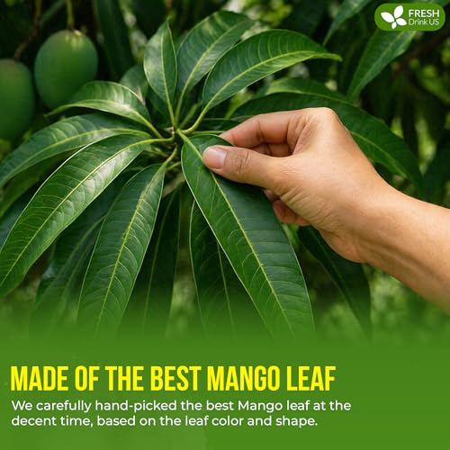 Image of FreshDrinkUS, Premium 8oz Mango Leaves Powder, 100% Natural & Pure, Herbal Tea, Daily Infusion Botanical, No Sugar, No Caffeine, No Gluten, Vegan. Rich in Antioxidants.