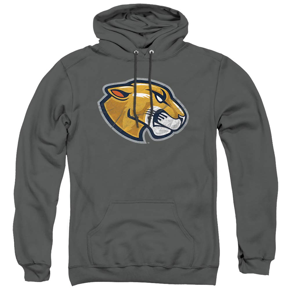 LOGOVISION Official Collegiate Distressed Primary Logo Adult Pullover Hoodie Collection — view 427