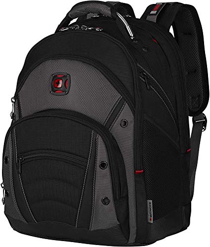 Wenger Synergy Backpack, Gray (Ga-7305-14F00) #TOP4