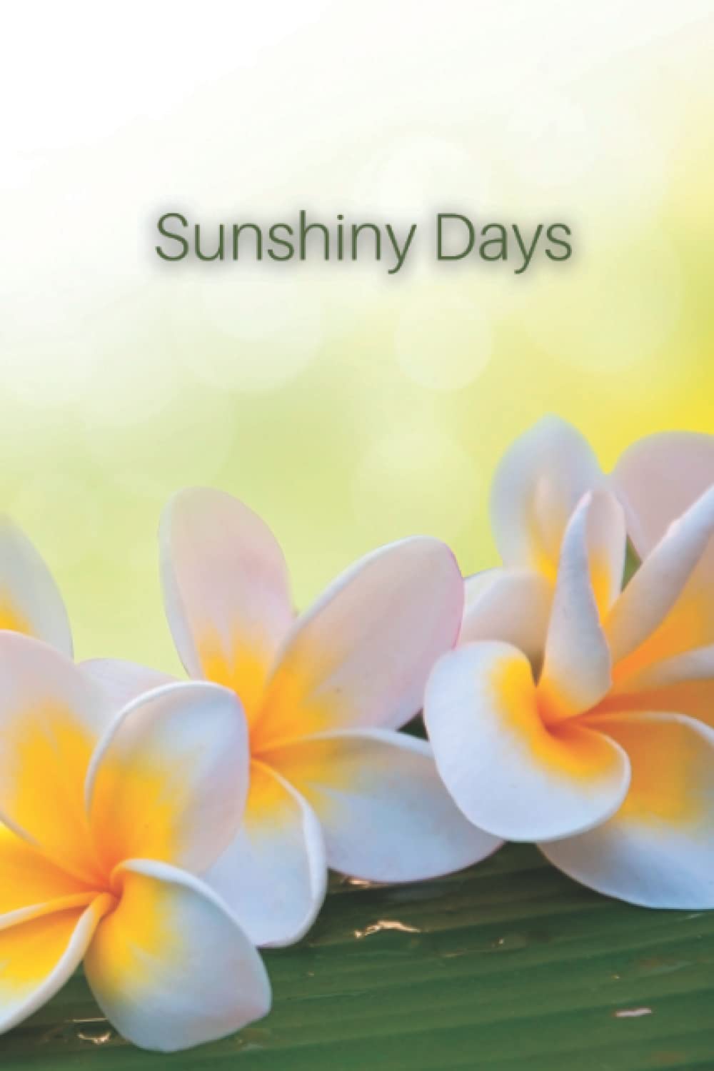 Sunshiny Days: Notebook 100 pages 6x9 inches