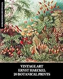 Vintage Art: Ernst Haeckel: 20 Botanical Prints: Flora and Fauna Ephemera for Framing, Collage, Decoupage, Mixed Media and Junk Journals - Vintage Revisited Press 