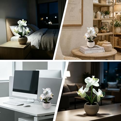 Image of White Artificial Orchid Lamp, Cordless Touch Control Floral Night Light, Valentine's Mothers Day Wedding Birthday Gift for Mom Wife Friends, Floral Table Light for Bedroom Indoor Home Ornament