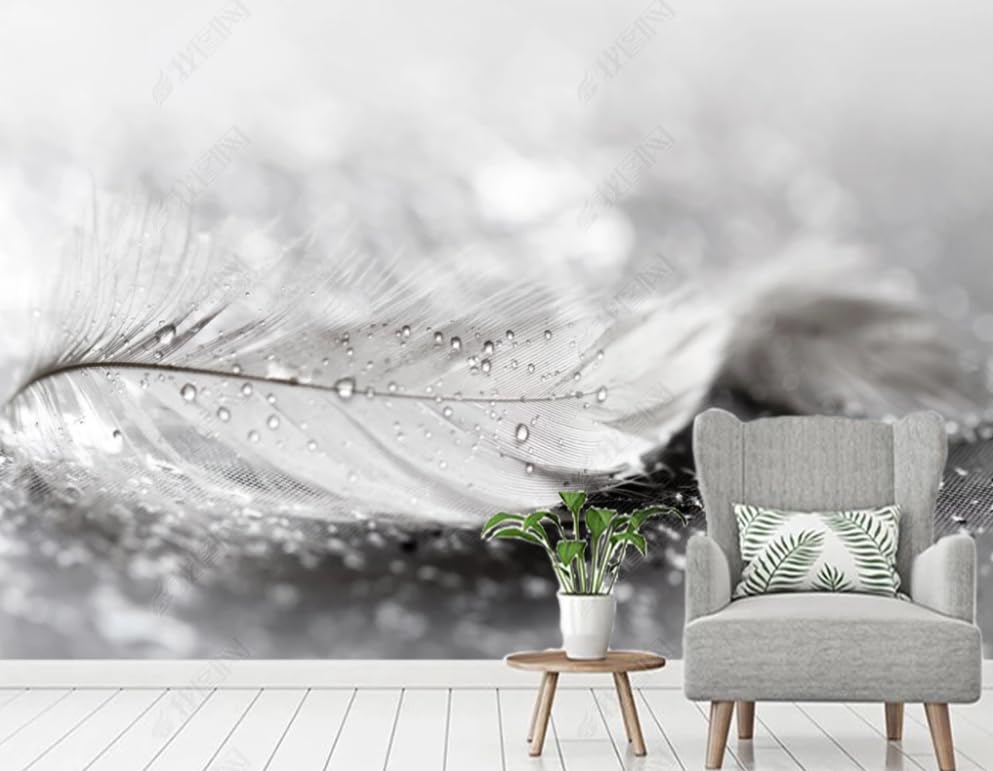 Papier peint intissé plumes noires et blanches XL mural pour salon et chambre