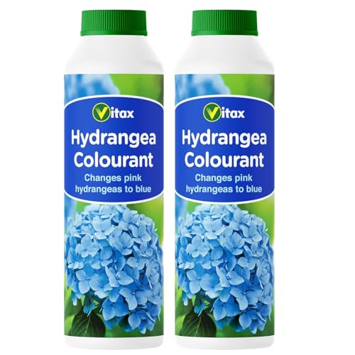 Hydrangea Colourant Pack of 2 x 250g Powder to Enhance Blue Hydrangea Blooms | Easy-to-Use Soil Additive for Acid-Loving Plants | Encourages Rich Blue Flower Colour
