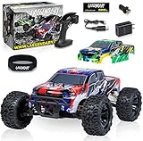 LAEGENDARY 1:10 Scale Brushless RC Cars 65+ km/h Speed - Remote Control Car 4x4 Off Road Monster Truck Electric - All Terrain Waterproof Toys for Adults - 2 Body Shell + Connector for 30+ Mins Play