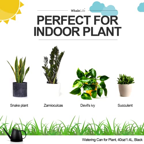 WhaleLife Regador Interno para Plantas Domésticas de Bonsai (1,4L, Preto)