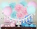 Gender Reveal Party Supplies Baby Shower Decorations Banner with Tissue Pom Poms Paper Lanterns Baby Blue Pink for Birthday/Pink and Blue Decorations /Gender Reveal Decorations
