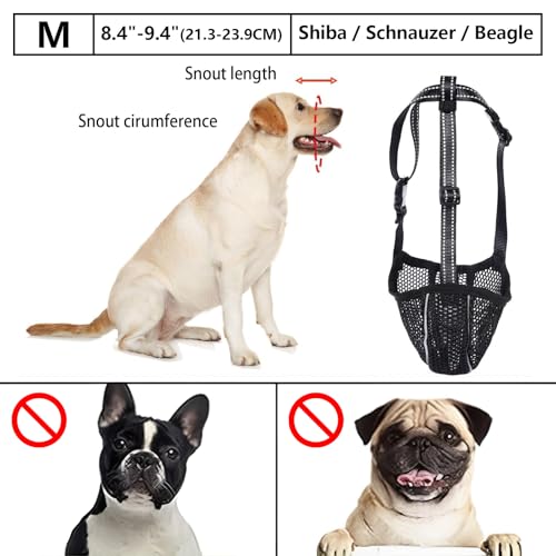 GIONAR Giftköderschutz Hund, Maulkorb Mittlere Hunde, Maulkorb Hund Prevent Fressen/Kauen/Beißen Hunde Maulkorb, Atmungsaktiv Reflektierende Einstellbare(Schwarz, M)