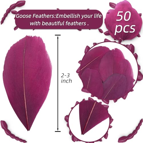 Plumas rojas oscuras para manualidades bricolaje Navidad y máscaras de colores surtidos 3