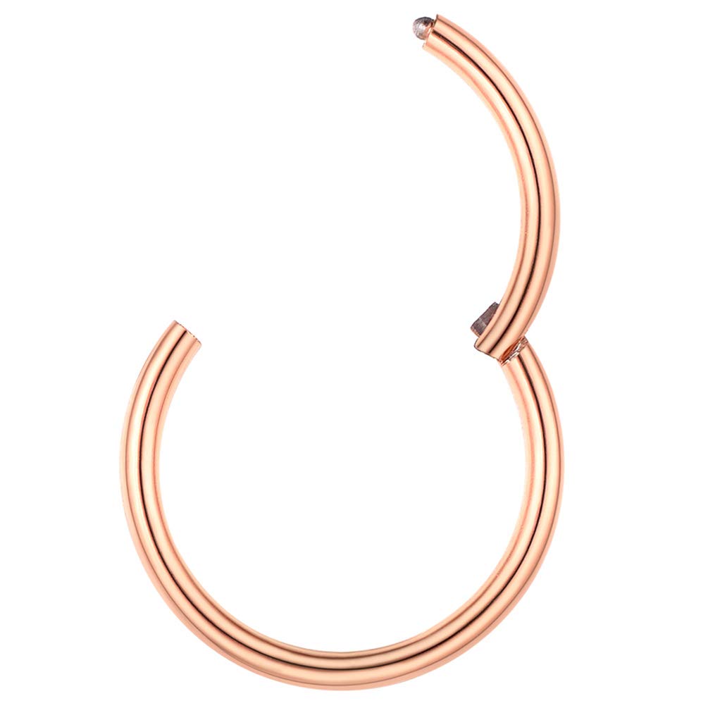 PROSTEEL Un Piercing Nariz Aro Septum Acero Quirurgico, Pendientes Nostril Labio Tragus con Calibre 20G / 18G Grosor, 6-10 mm Diámetro, Plateado/Dorado/Rosado/Negro — view 13