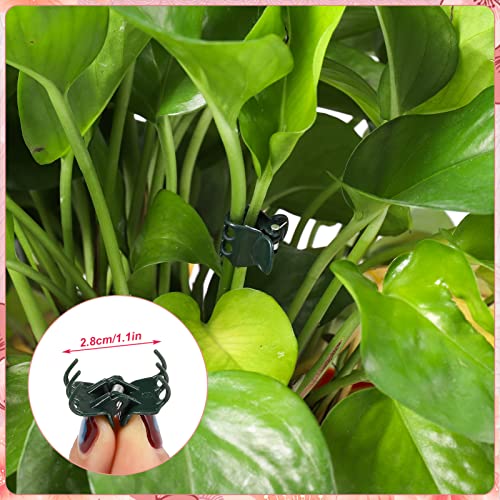 Pinenuts 100 Stück Orchideen Klammern Pflanzenclips, 1.5 cm Dunkelgrüne Orchideen Clip Kunststoff Pflanzenklammern für Unterstützen und Halten Pflanze