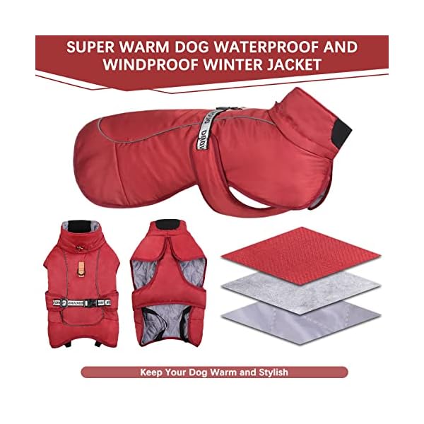 ROZKITCH Extra Warm Dog Coat Reflective Adjustable Dog Jacket Dog Winter Coat with Buckle Fleece Turtleneck Dog Jacket for Cold Weather Soft Winter Coat for Small Medium Extra Large Dogs ROZKITCH Extra Warm Dog Coat Reflective Adjustable Dog Jacket Dog Winter Coat with Buckle Fleece Turtleneck Dog Jacket for Cold Weather Soft Winter Coat for Small Medium Extra Large Dogs