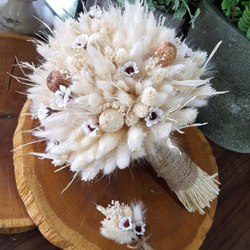 Pampas Grass Large Bunny Tails Flores Secas Naturales miniatura 4
