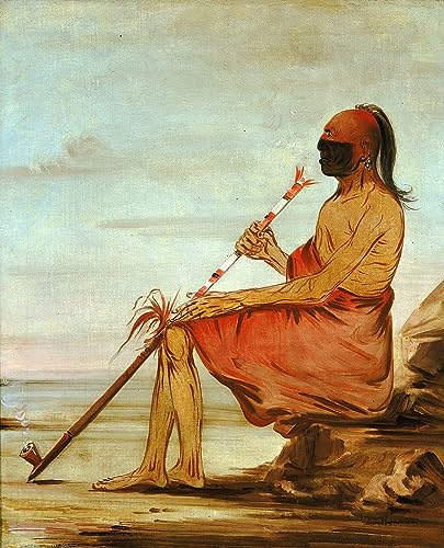 Toile George Catlin le hibou pour sublimer votre décoration de salon moderne